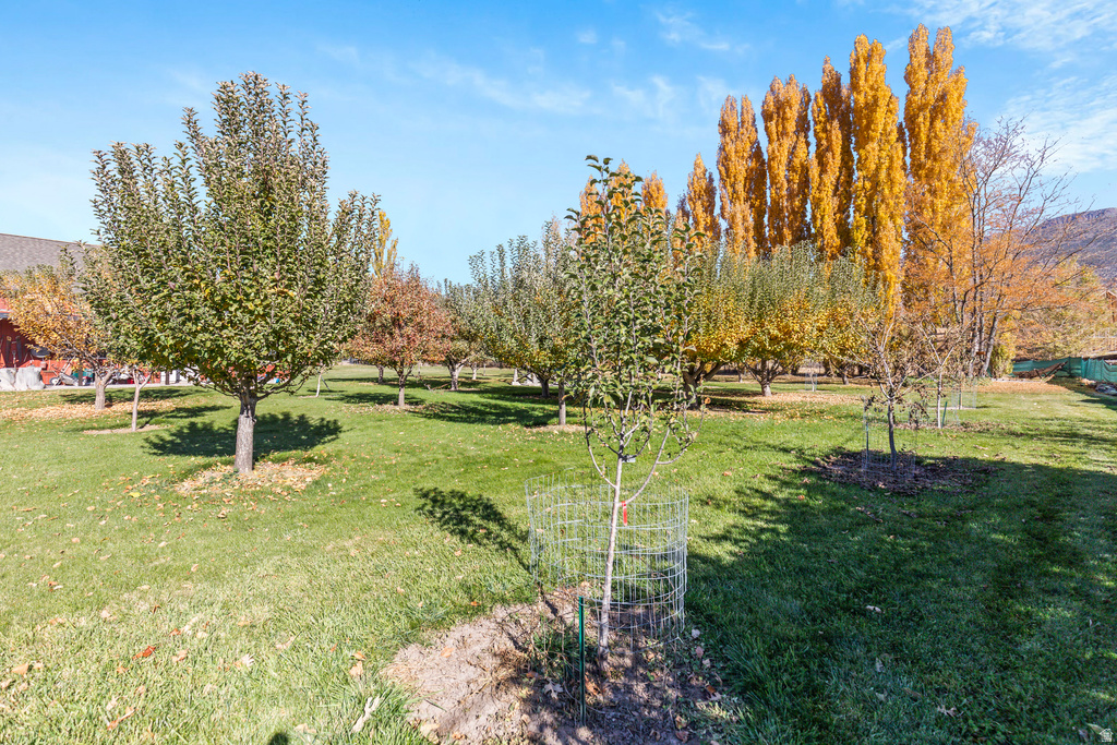 390 N 100 W Monroe, UT 84754