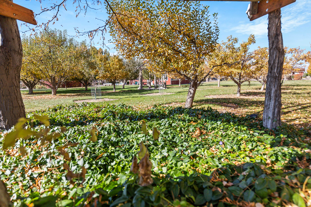 390 N 100 W Monroe, UT 84754