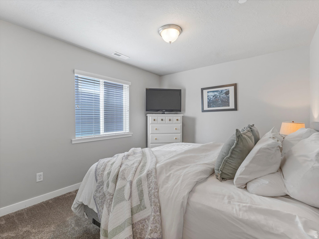 14726 S SNOW BLOSSOM WAY Draper, UT 84020