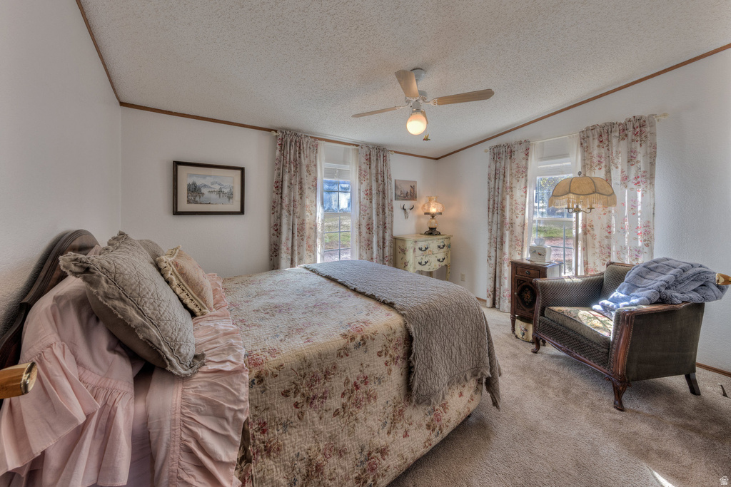 137 CASTLE VALLEY DR Castle Valley, UT 84532