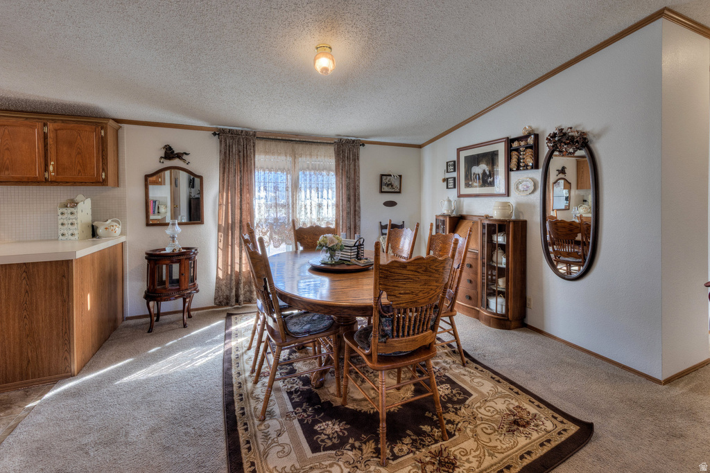 137 CASTLE VALLEY DR Castle Valley, UT 84532