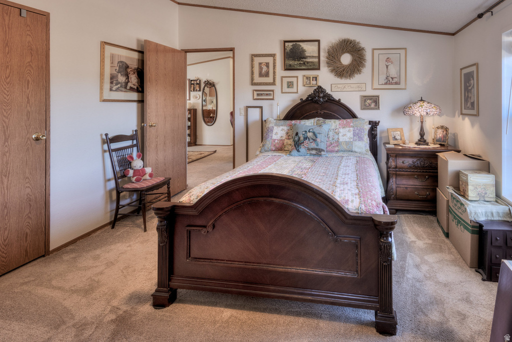 137 CASTLE VALLEY DR Castle Valley, UT 84532