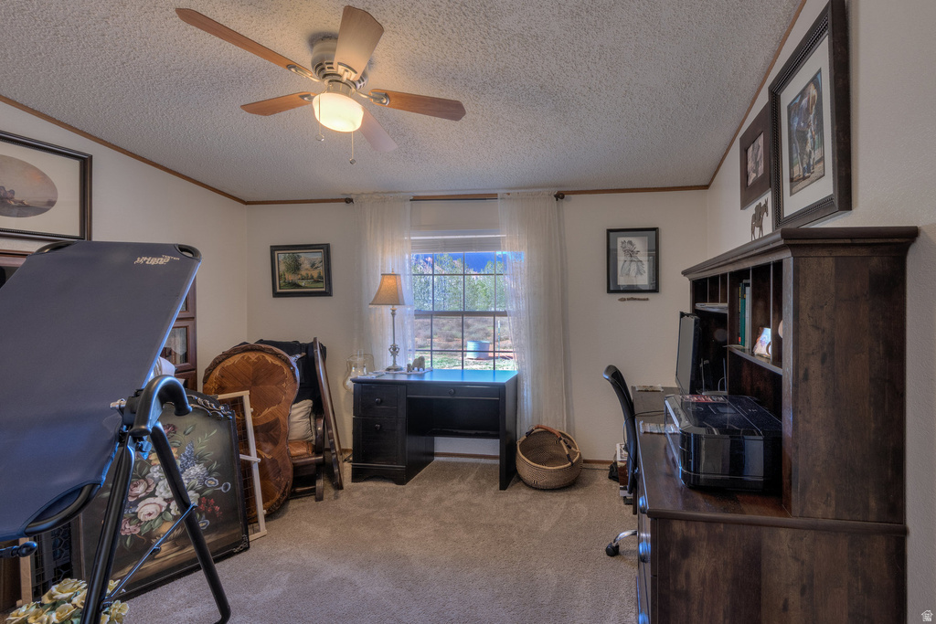 137 CASTLE VALLEY DR Castle Valley, UT 84532