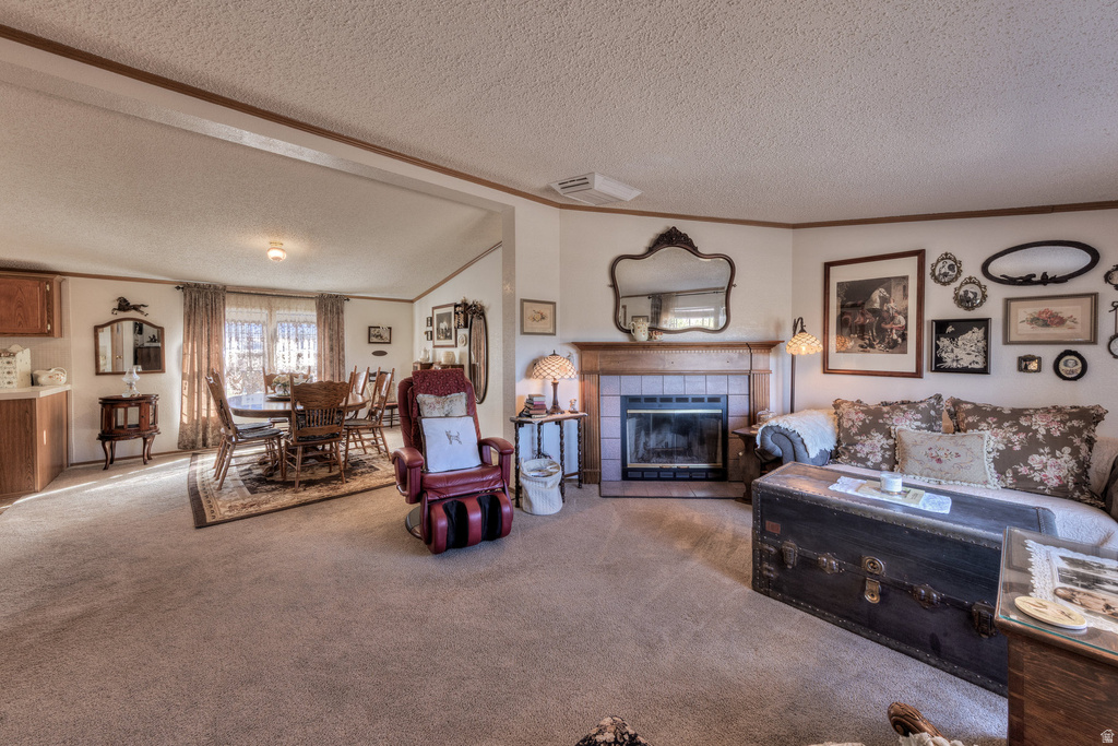 137 CASTLE VALLEY DR Castle Valley, UT 84532