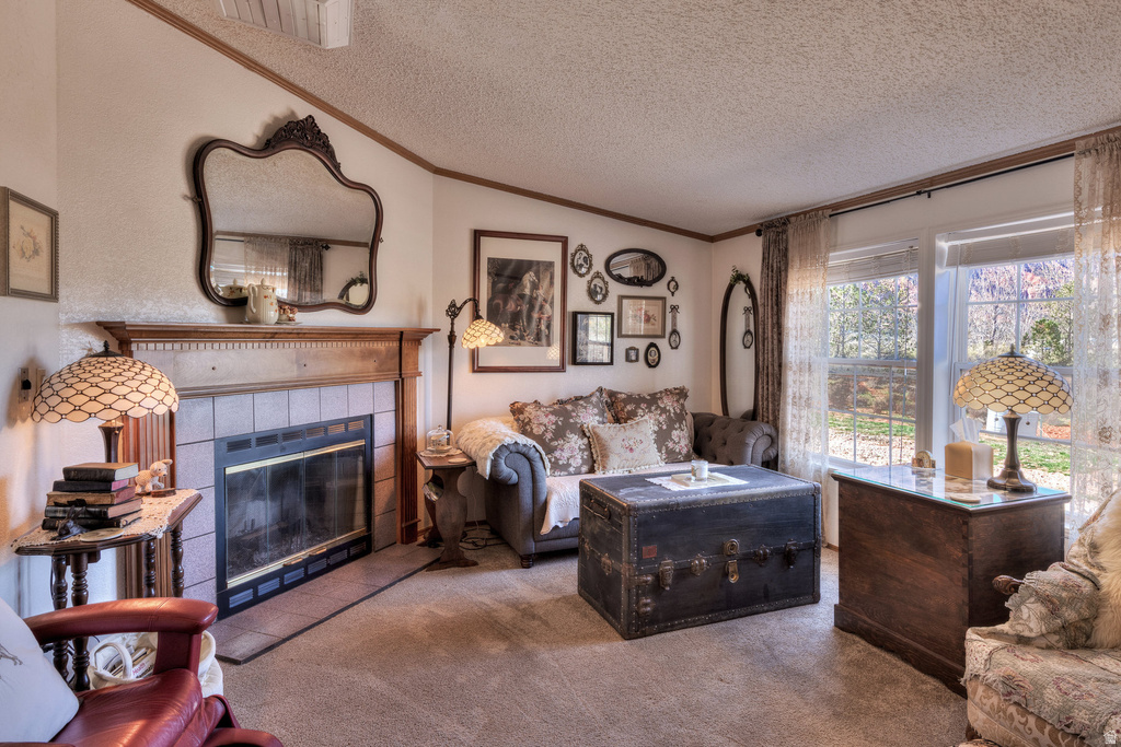 137 CASTLE VALLEY DR Castle Valley, UT 84532