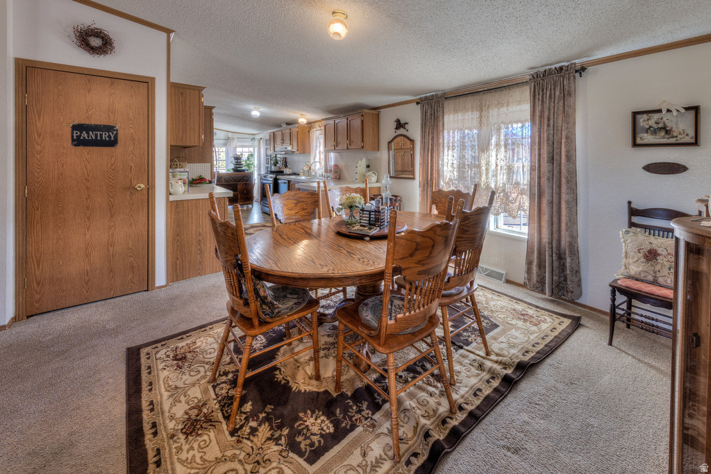 137 CASTLE VALLEY DR Castle Valley, UT 84532