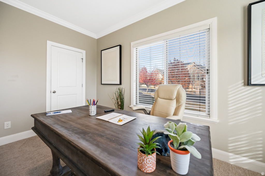 9039 N MOUNT AIREY DR Eagle Mountain, UT 84005