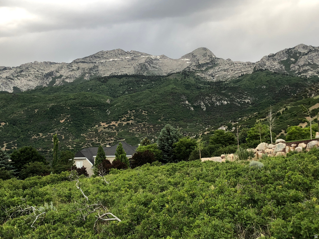 1653  ROSANNA CIR Alpine, UT 84004