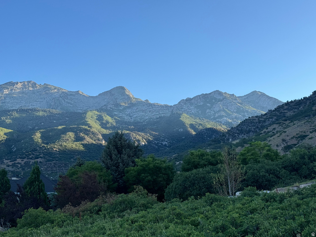 1653  ROSANNA CIR Alpine, UT 84004