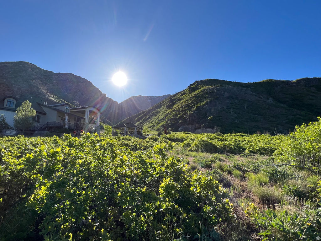 1653  ROSANNA CIR Alpine, UT 84004