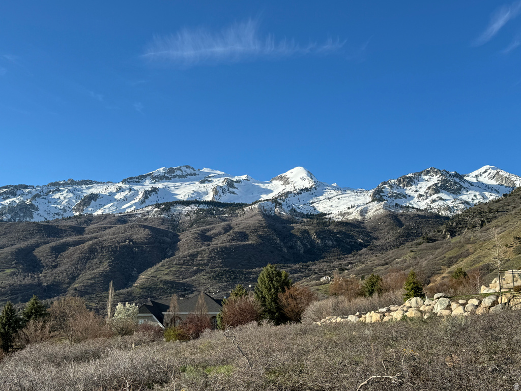 1653  ROSANNA CIR Alpine, UT 84004