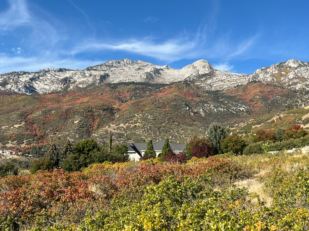 1653  ROSANNA CIR Alpine, UT 84004