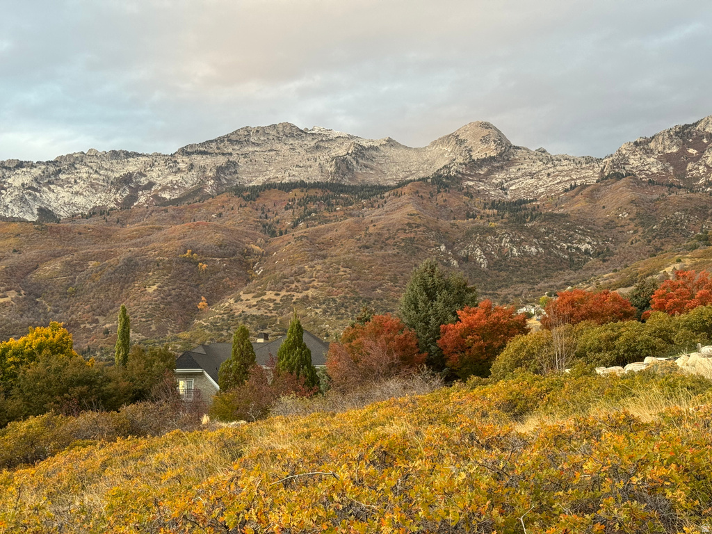 1653  ROSANNA CIR Alpine, UT 84004