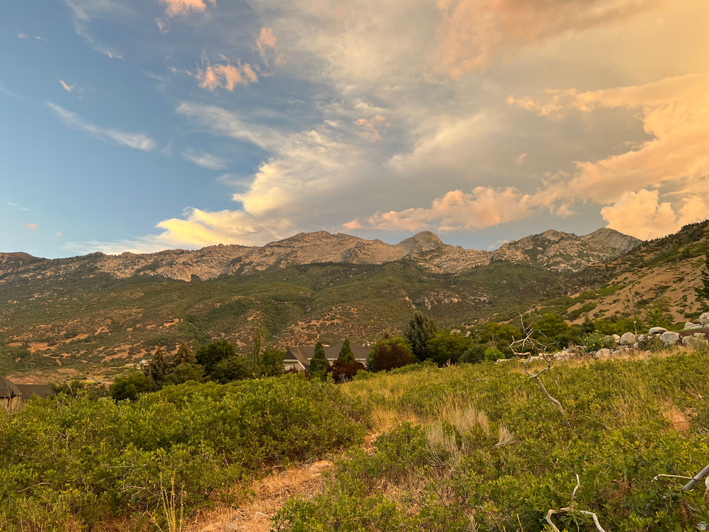 1653  ROSANNA CIR Alpine, UT 84004