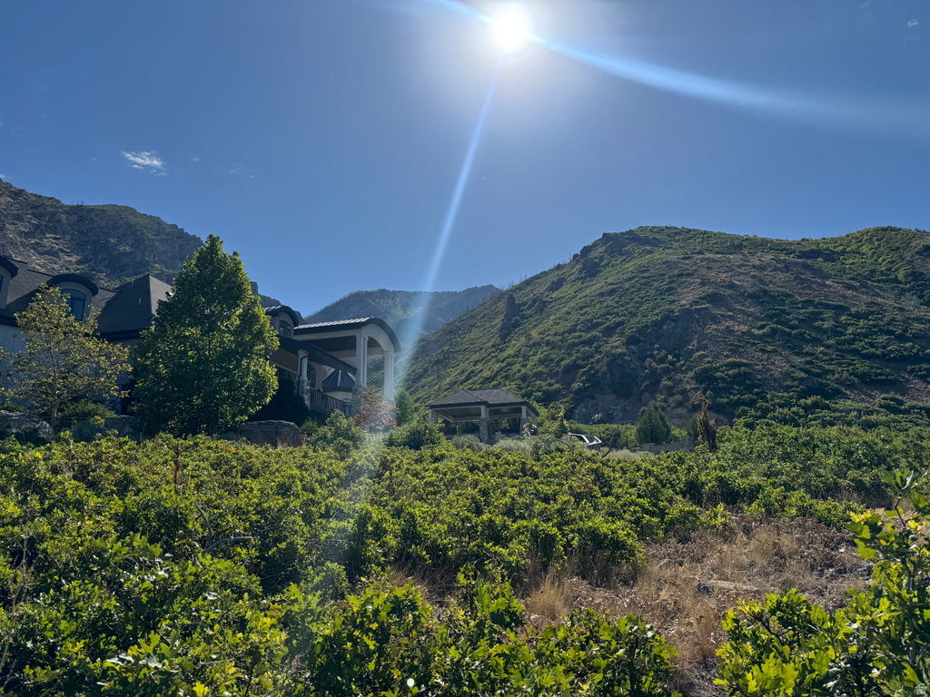 1653  ROSANNA CIR Alpine, UT 84004