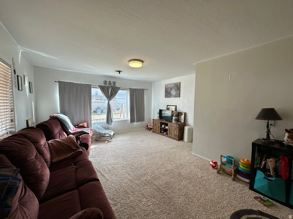 256 E 200 N Fairview, UT 84629