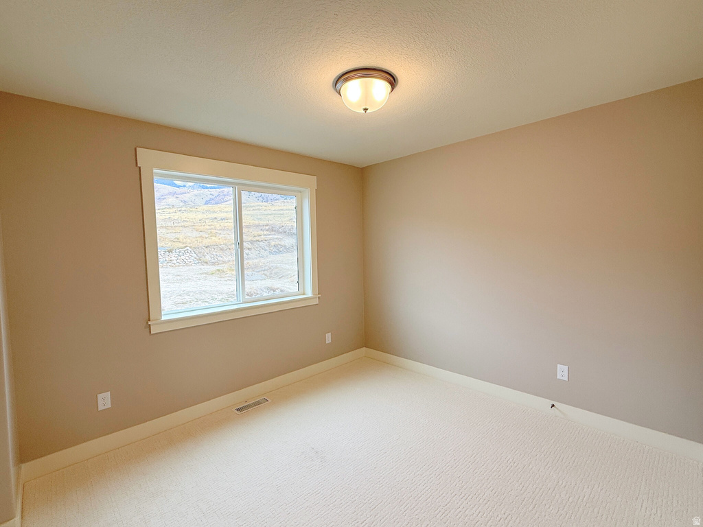 589 S 1140 E #1201 Smithfield, UT 84335