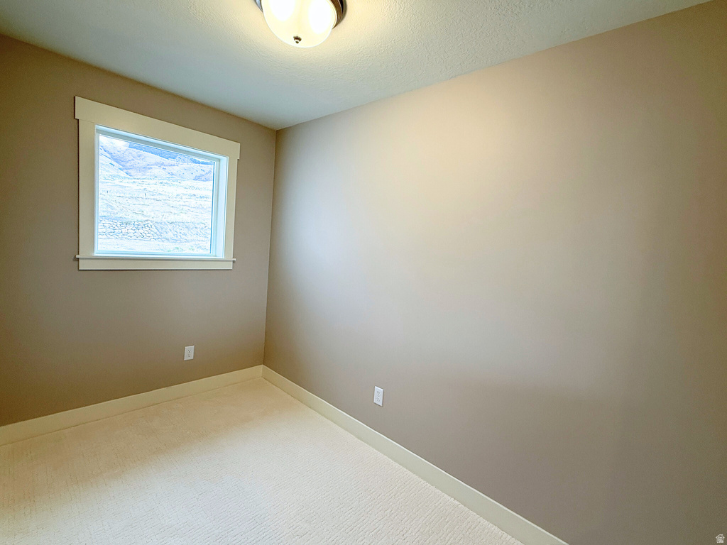 589 S 1140 E #1201 Smithfield, UT 84335