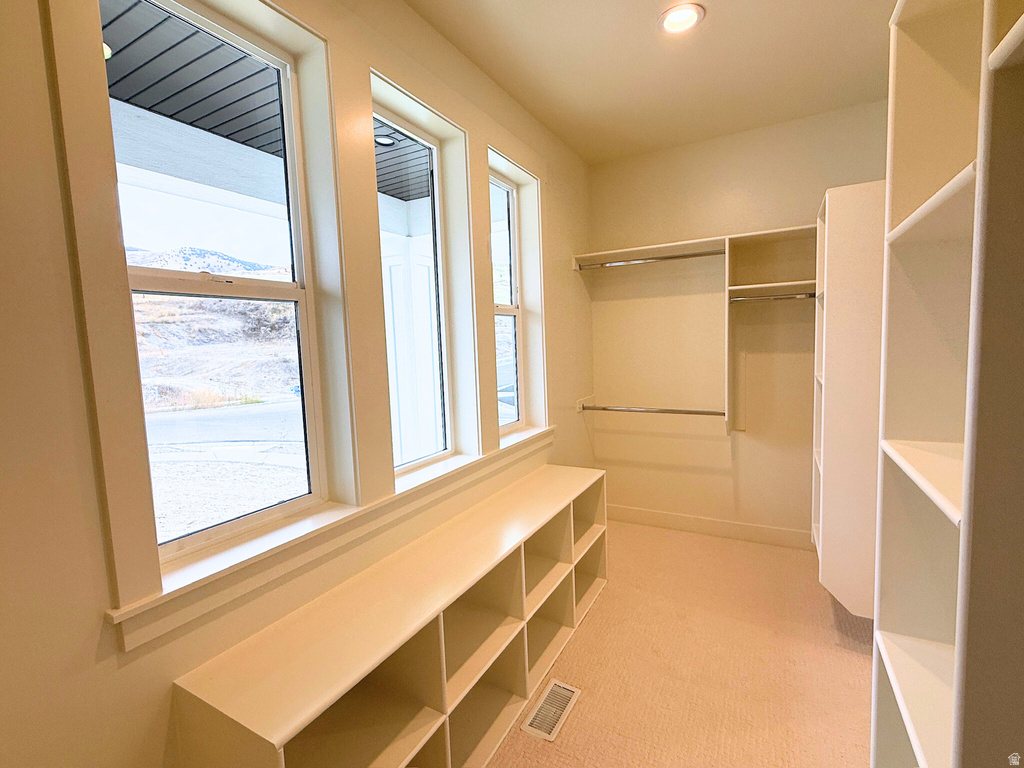 589 S 1140 E #1201 Smithfield, UT 84335