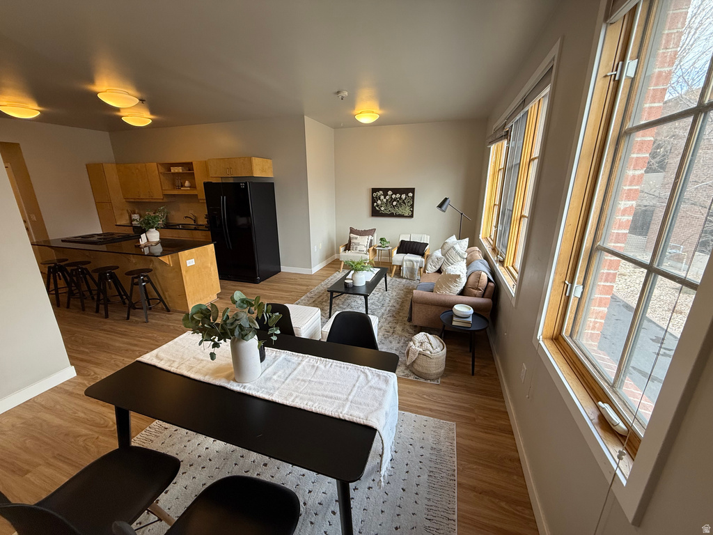 228 E 500 S #207 Salt Lake City, UT 84111