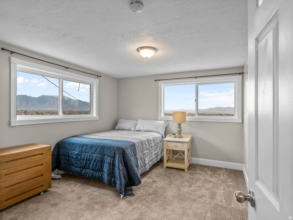 968 E 440 N Springville, UT 84663