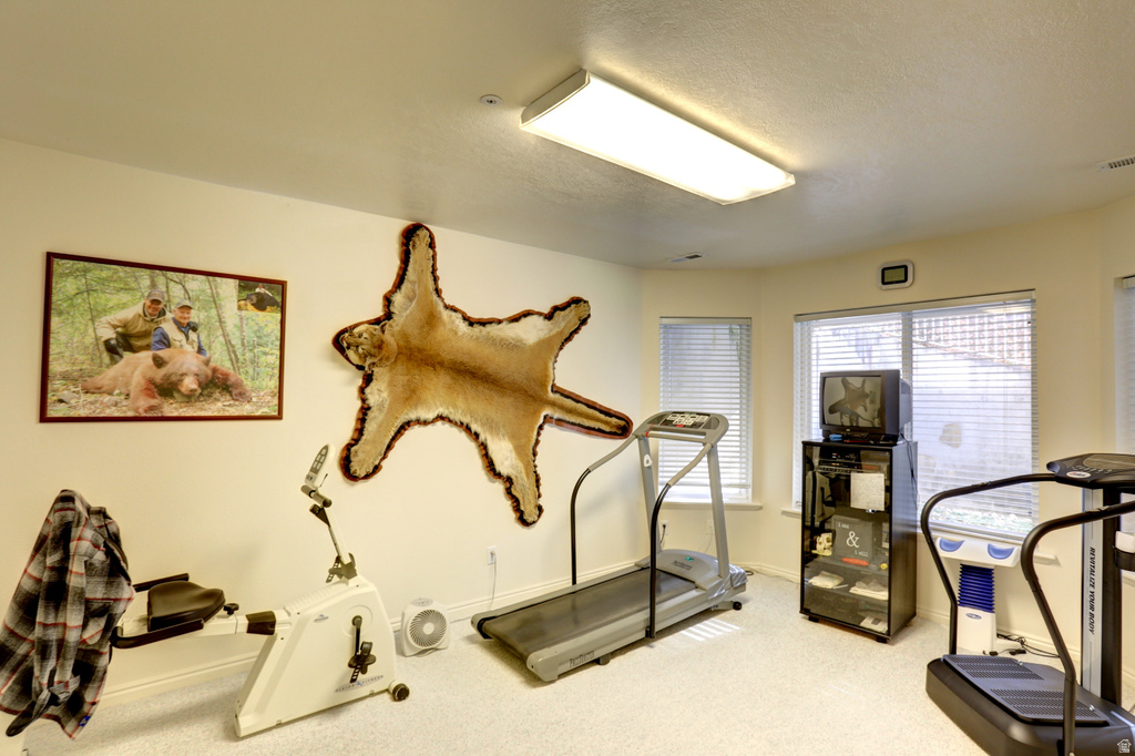 11047 S SURREY DR Spanish Fork, UT 84660