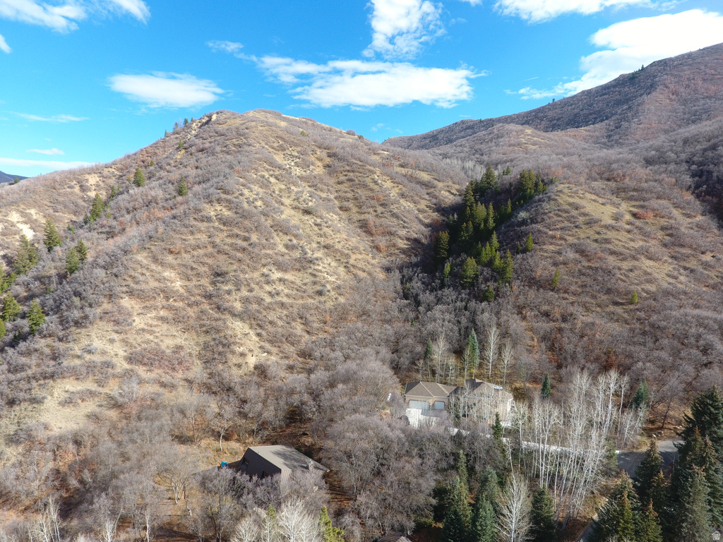 11047 S SURREY DR Spanish Fork, UT 84660