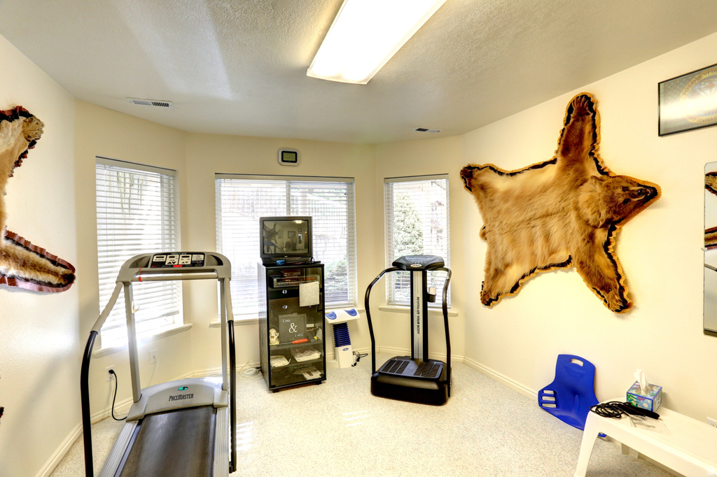 11047 S SURREY DR Spanish Fork, UT 84660