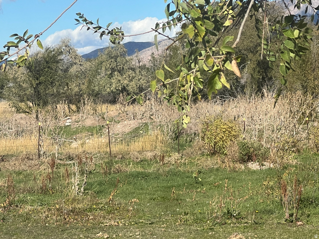 4212 W 1975 N Plain City, UT 84404