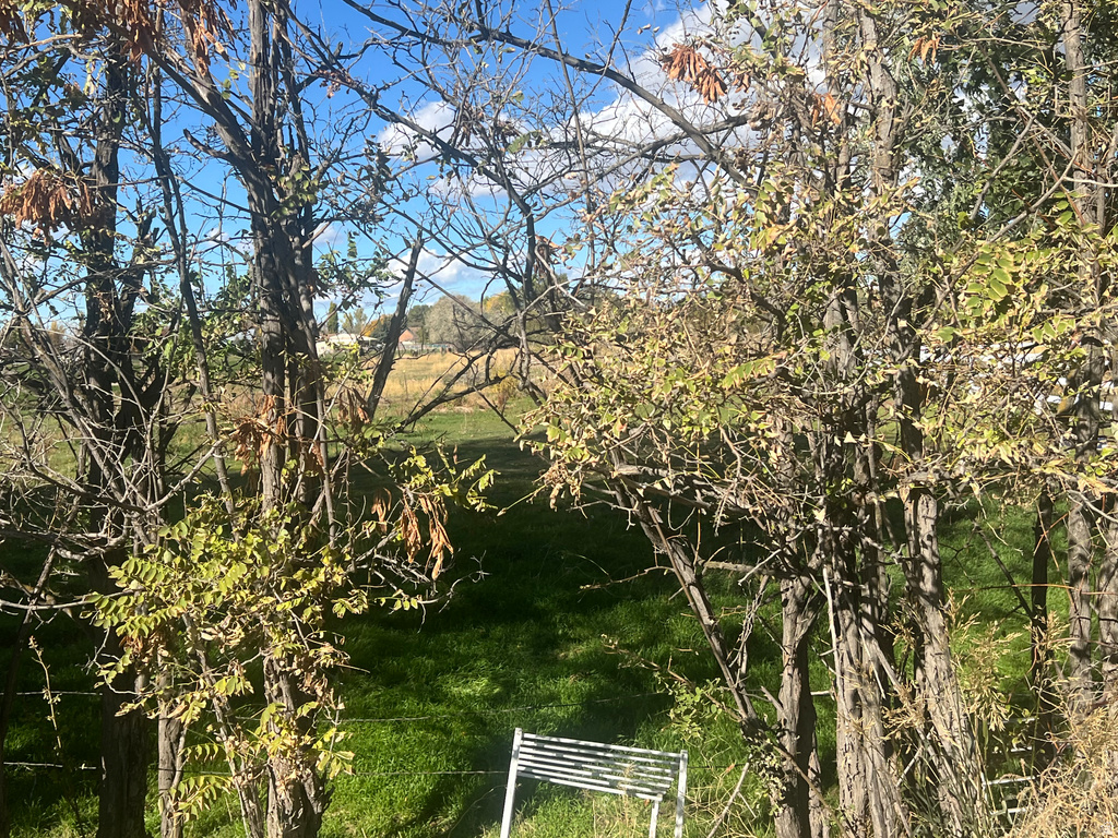 4210 W 1975 N Plain City, UT 84404