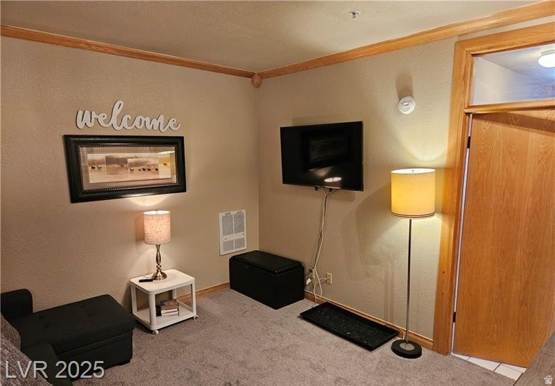 223 HUNTER RIDGE RD #A314 Brian Head, UT 84719