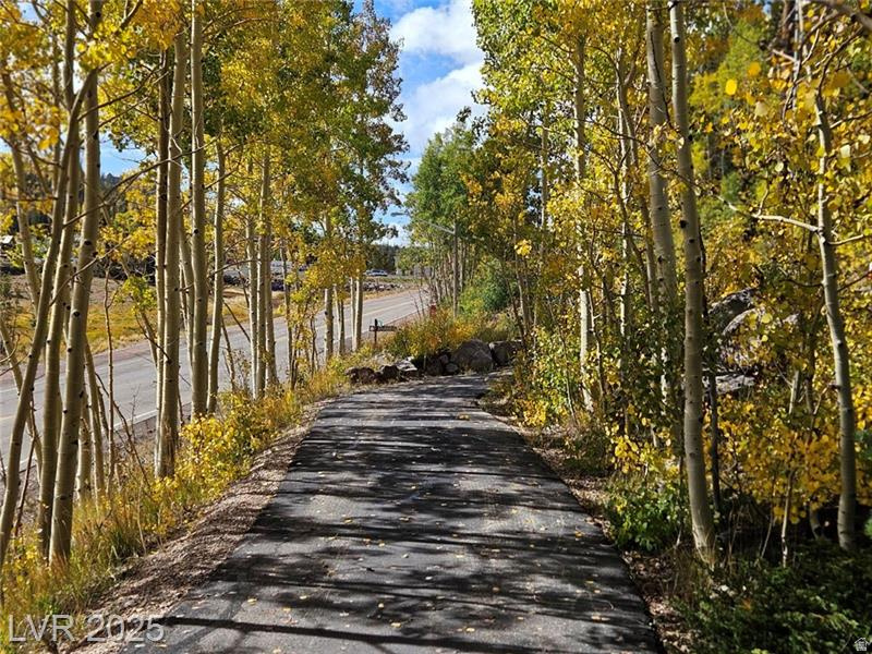 223 HUNTER RIDGE RD #A314 Brian Head, UT 84719