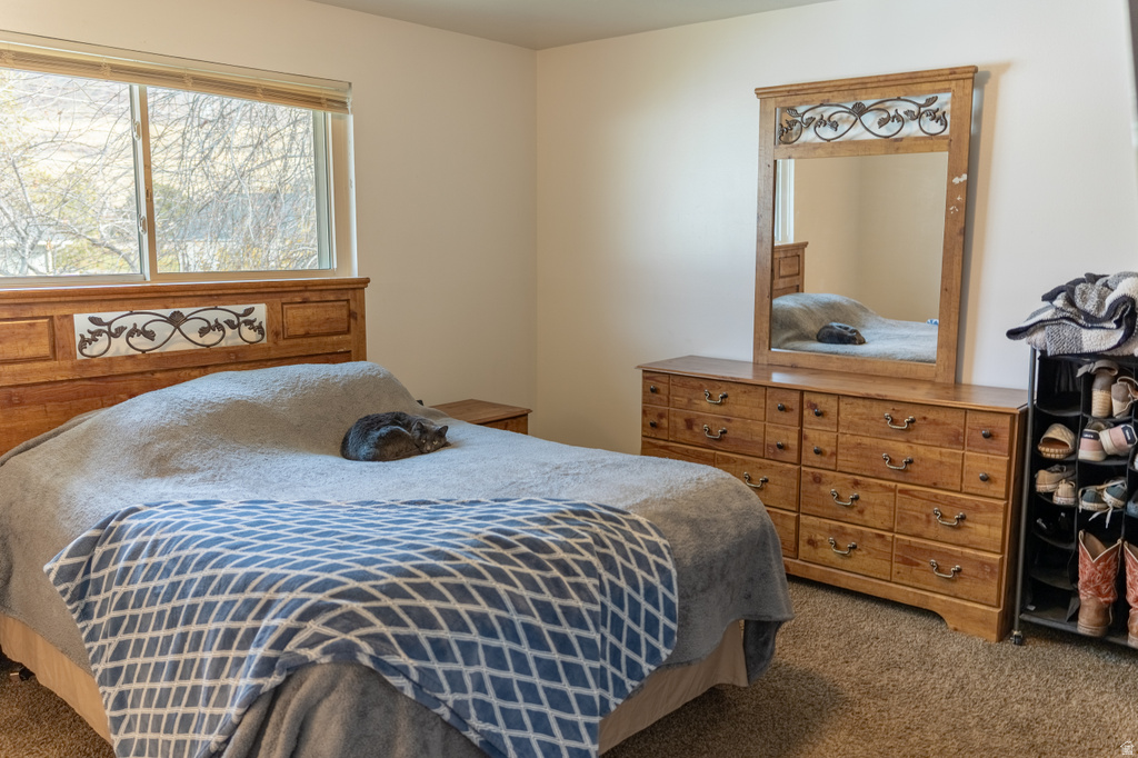 887 DOUGLAS DR Brigham City, UT 84302