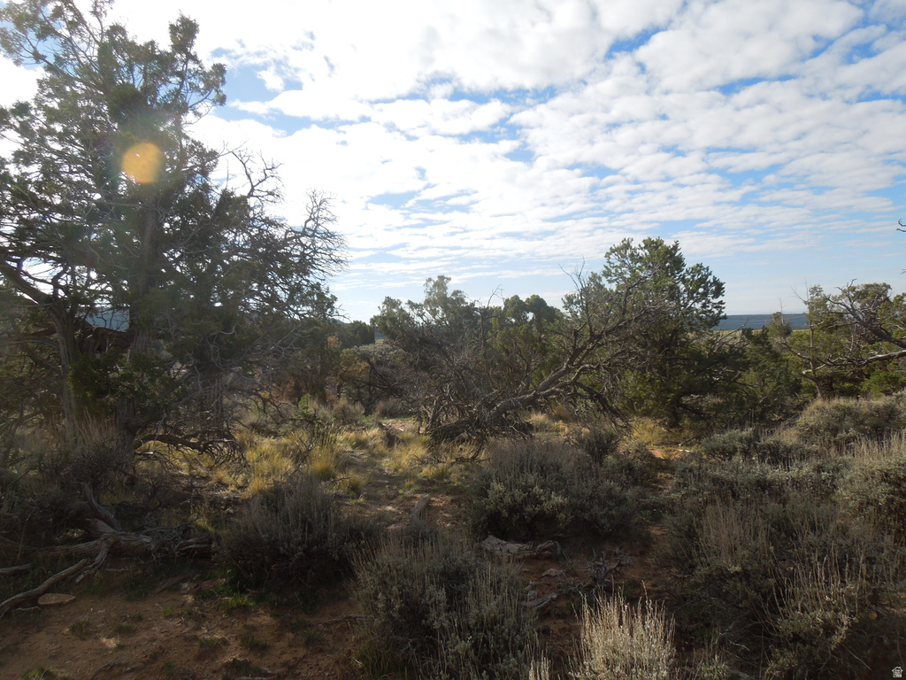 411 W SAND FLATS RD 11675 E L ON PUB ESMT RD Moab, UT 84532