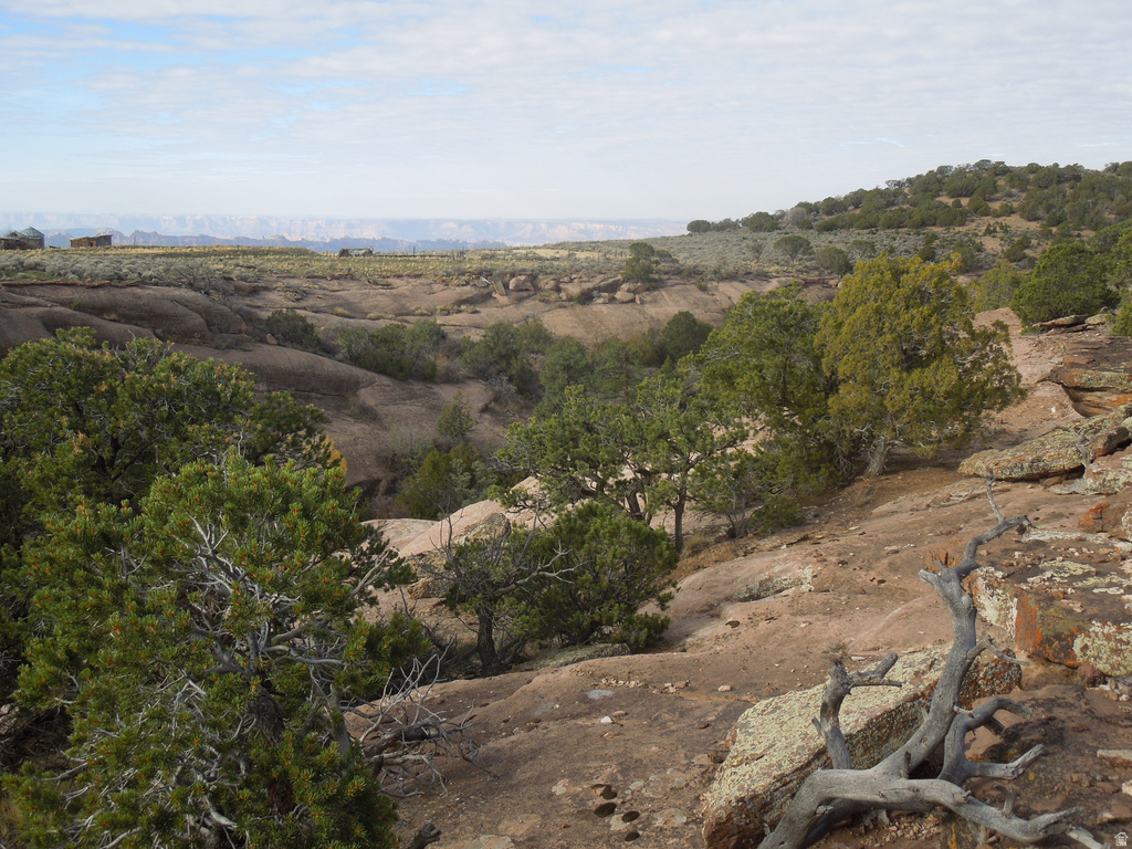 411 W SAND FLATS RD 11675 E L ON PUB ESMT RD Moab, UT 84532