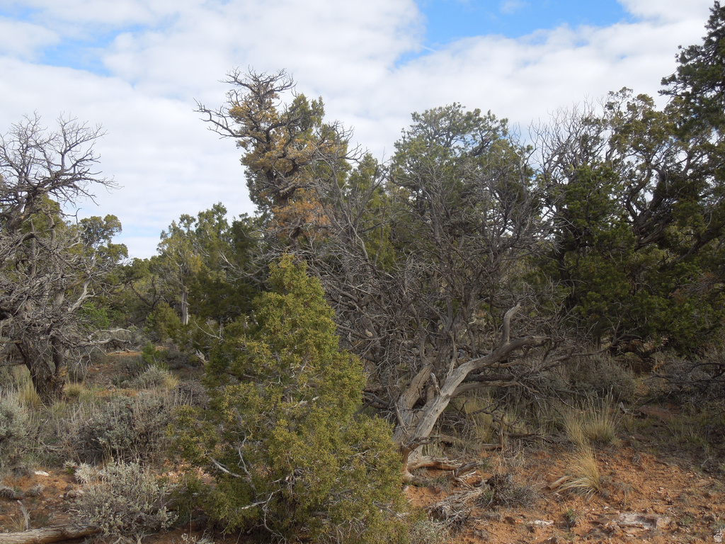 411 W SAND FLATS RD 11675 E L ON PUB ESMT RD Moab, UT 84532