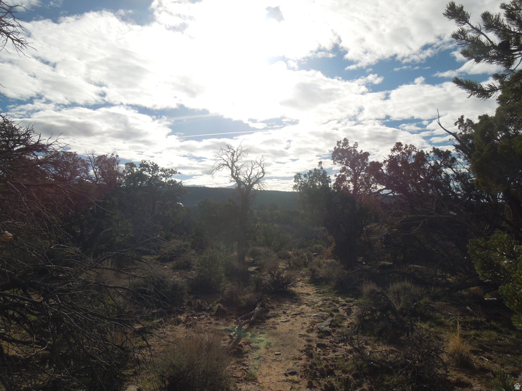 411 W SAND FLATS RD 11675 E L ON PUB ESMT RD Moab, UT 84532