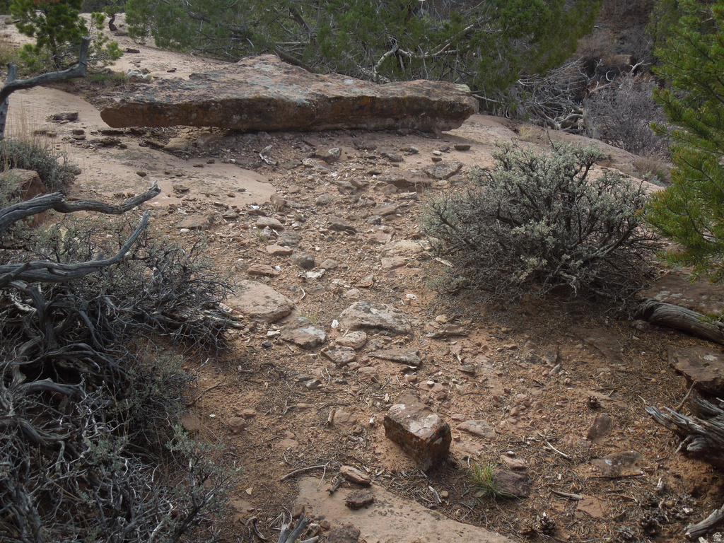 411 W SAND FLATS RD 11675 E L ON PUB ESMT RD Moab, UT 84532