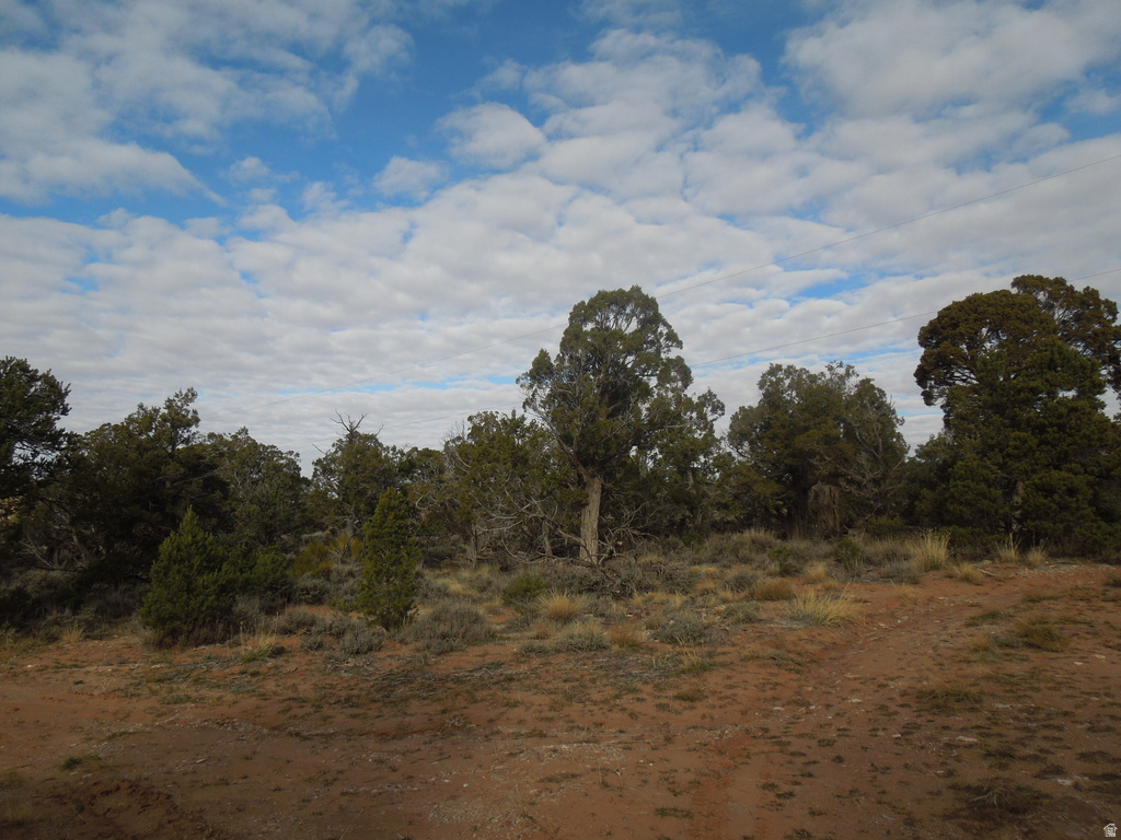 411 W SAND FLATS RD 11675 E L ON PUB ESMT RD Moab, UT 84532