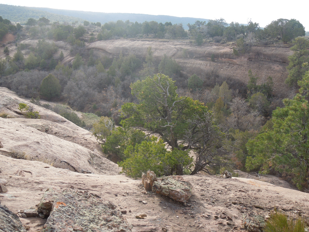 411 W SAND FLATS RD 11675 E L ON PUB ESMT RD Moab, UT 84532