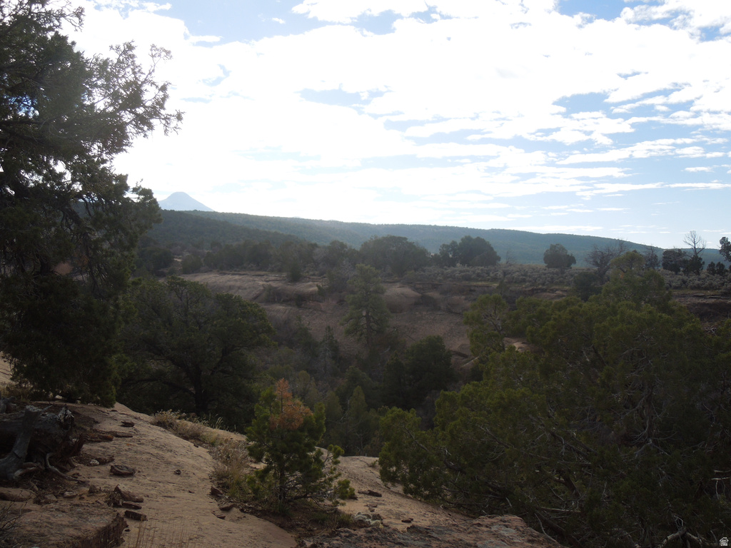 411 W SAND FLATS RD 11675 E L ON PUB ESMT RD Moab, UT 84532