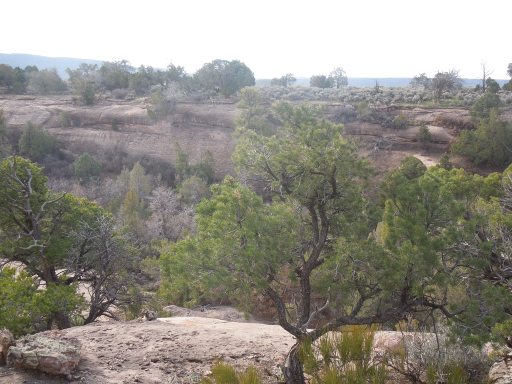 411 W SAND FLATS RD 11675 E L ON PUB ESMT RD Moab, UT 84532