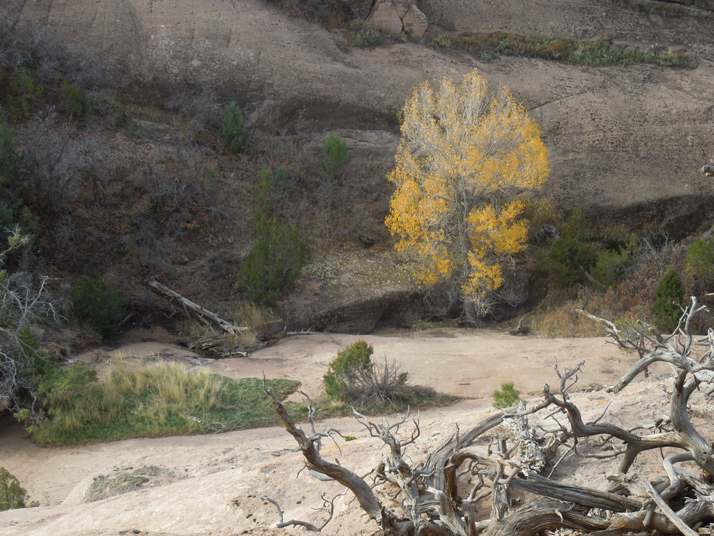 411 W SAND FLATS RD 11675 E L ON PUB ESMT RD Moab, UT 84532