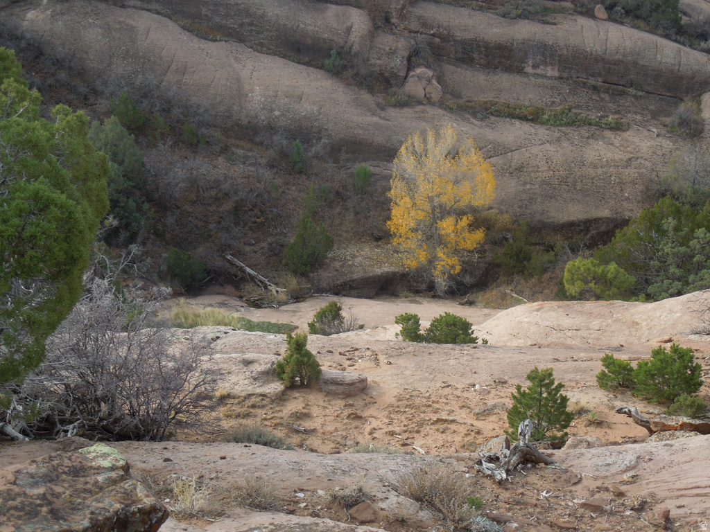 411 W SAND FLATS RD 11675 E L ON PUB ESMT RD Moab, UT 84532