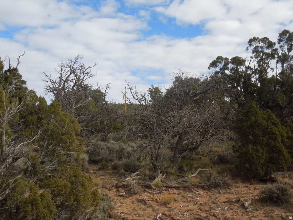 411 W SAND FLATS RD 11675 E L ON PUB ESMT RD Moab, UT 84532