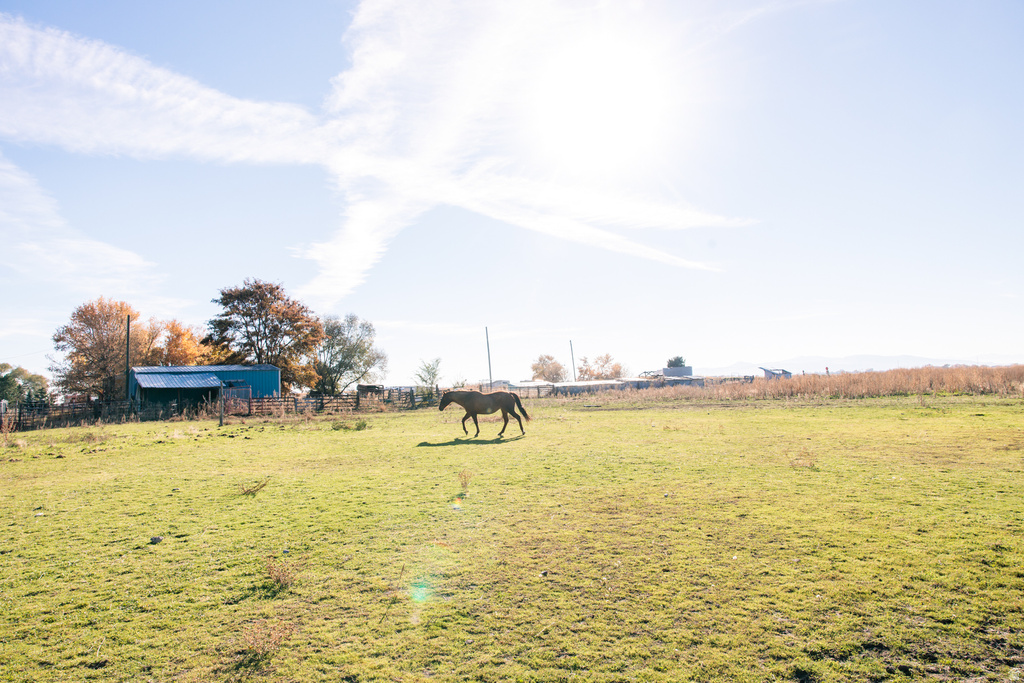 8955 N HIGHWAY 38 Deweyville, UT 84309