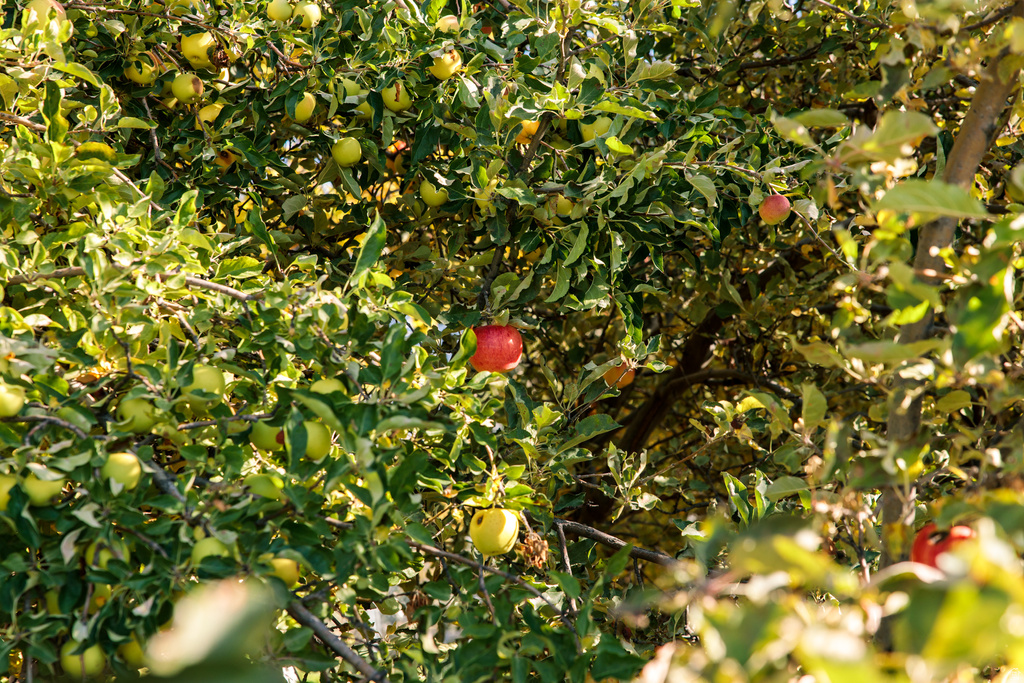 8955 N HIGHWAY 38 Deweyville, UT 84309