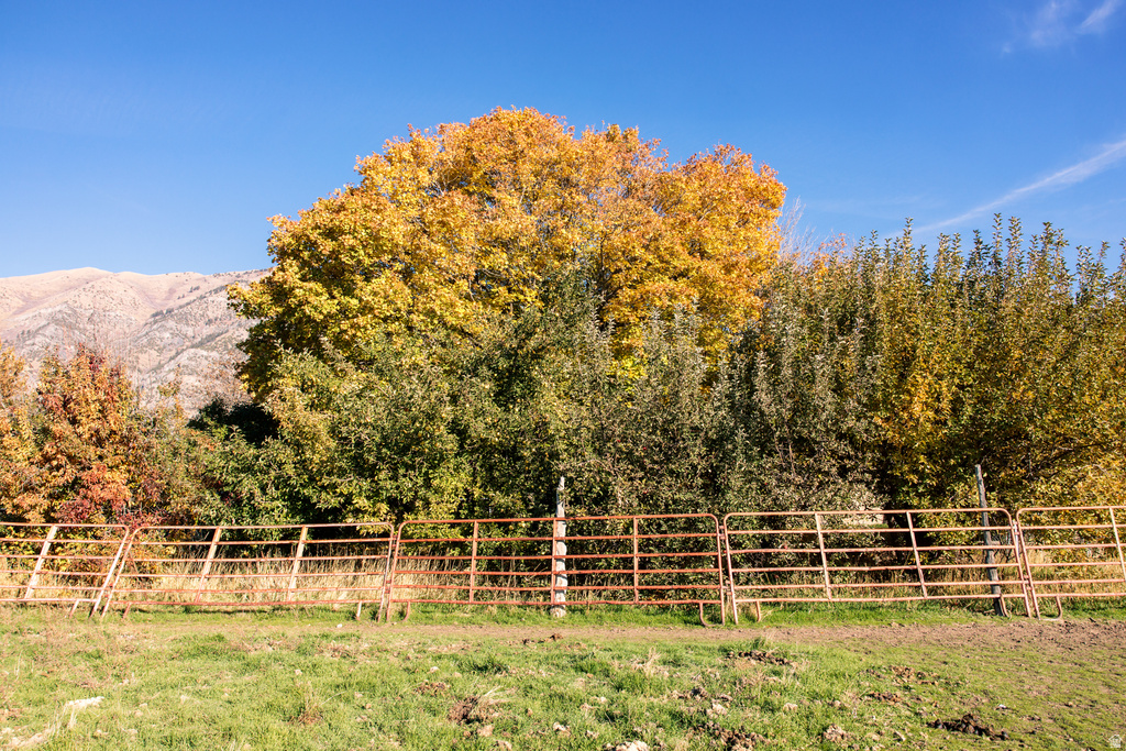 8955 N HIGHWAY 38 Deweyville, UT 84309