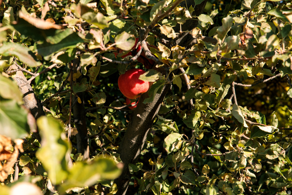 8955 N HIGHWAY 38 Deweyville, UT 84309