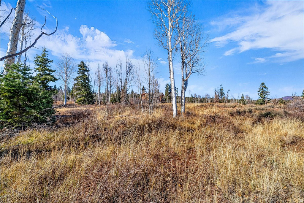 367 N SPRING DR Virgin, UT 84779